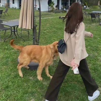 人夫总动员